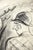 André Szenes, Morning Ride, 1920s, Chalk & Pencil on Paper For Sale - Image 9 of 14