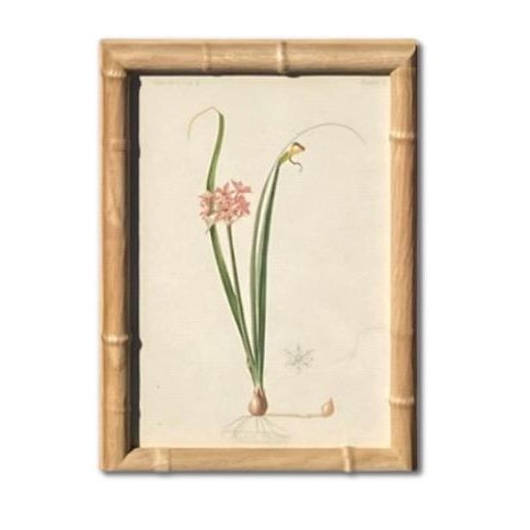 Antique Botanical Chromolithographs — “Wild Flowers of America”, Volume I, L. Prang & Co., Boston (C. 1877) Set of 13 For Sale - Image 15 of 17