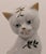 1990s Vintage Andrea by Sadek Hand Painted Cat Figurine For Sale - Image 5 of 6