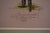 Traditional George Barrett Jockey One & Two Thousand Guineas Winner 1885 Watercolour by Astor For Sale - Image 3 of 5