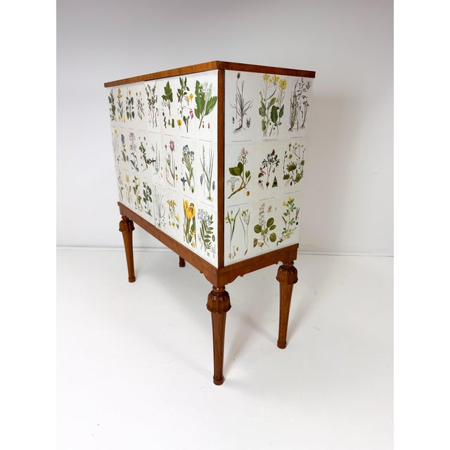 1940s 1940’s Swedish Cabinet With Nordens Flora Illustrations For Sale - Image 5 of 9