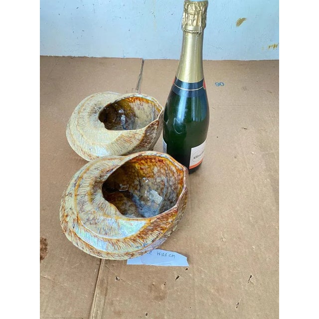 Brown Ceramic Shell Vide Poche from Vallauris, France, 1970s, Set of 2 For Sale - Image 8 of 9