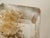 1970s Acrylic Glass Paperweight with Encased Flowers by Pierre Giraudon, France, 1970s For Sale - Image 5 of 14