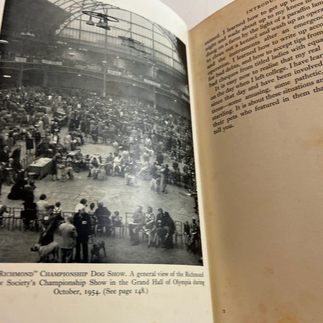 Paper 1955 Dogs, Cats and People Book For Sale - Image 7 of 8