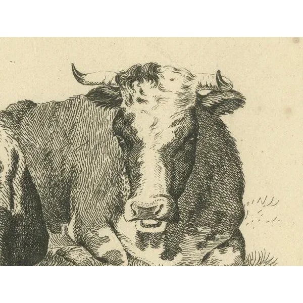 Anthony Oberman, Pastoral Scene with Two Resting Cows, 1810, Print For Sale - Image 4 of 8