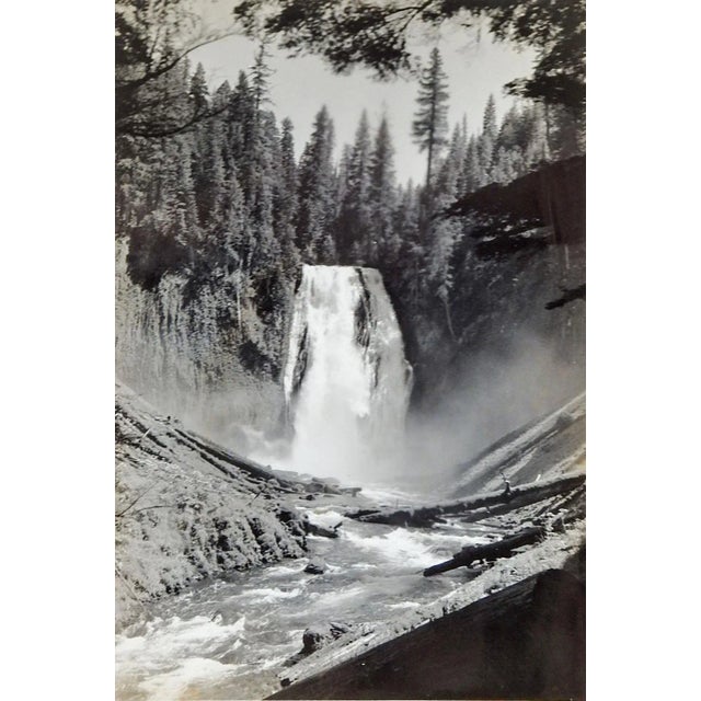 Set of 3 vintage photographs of a waterfall. Sightly different angles, unsigned. Unframed, one a bit more sepia toned.