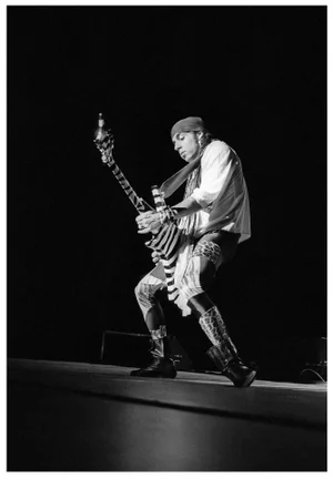 Stevie Van Zandt Original Photograph