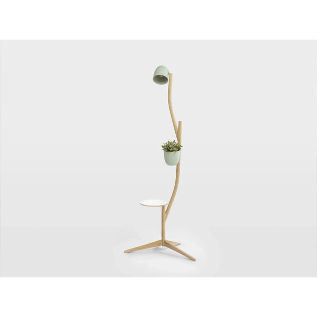 Branch-Out Set from Studio Lorier For Sale - Image 6 of 10