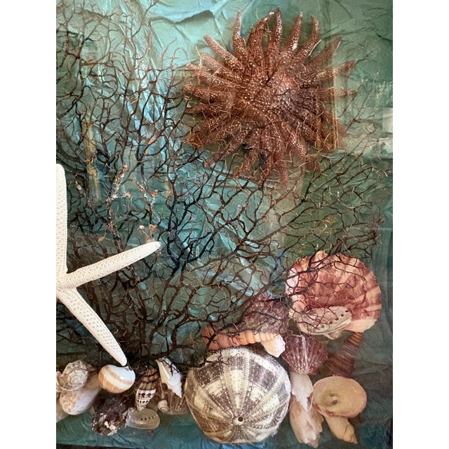 Vintage Seashell Collage Shadow Boxes -a Pair For Sale - Image 10 of 12