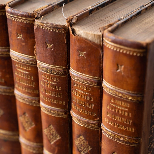 Animal Skin Antique 1845 Thiers Histoire Du Consulat Et De L'Empire, 6 Volumes For Sale - Image 7 of 11