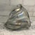 Arts & Crafts Opalescent Art Glass Shell For Sale - Image 3 of 6