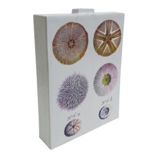 Fabienne Jouvin Paris 2-Sided Porcelain Jar/Vase - A Study of Sea Urchins For Sale