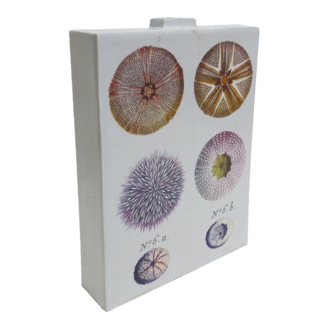Fabienne Jouvin Paris 2-Sided Porcelain Jar/Vase - A Study of Sea Urchins For Sale