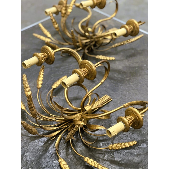 Metal Italian Wheat Sheaf Wall Sconces in Gilt Metal, 1950s, Set of 2 For Sale - Image 7 of 11