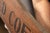 Early 20th Century Bours Celebrated Coffee Painted Wood Advertising Sign For Sale In Chicago - Image 6 of 7