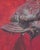 Renaissance Totem Animal by Elena Burykina | Oil on panel Bronze totem animal head on a red background. For Sale - Image 3 of 5