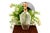 Glass Perfume Bottle with Gold Applications For Sale - Image 6 of 6