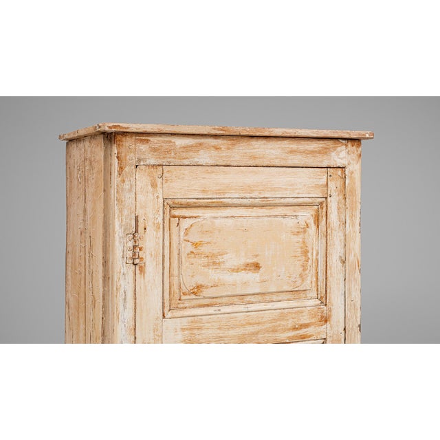 19th Century French Wood Patinated Cabinet For Sale - Image 11 of 12