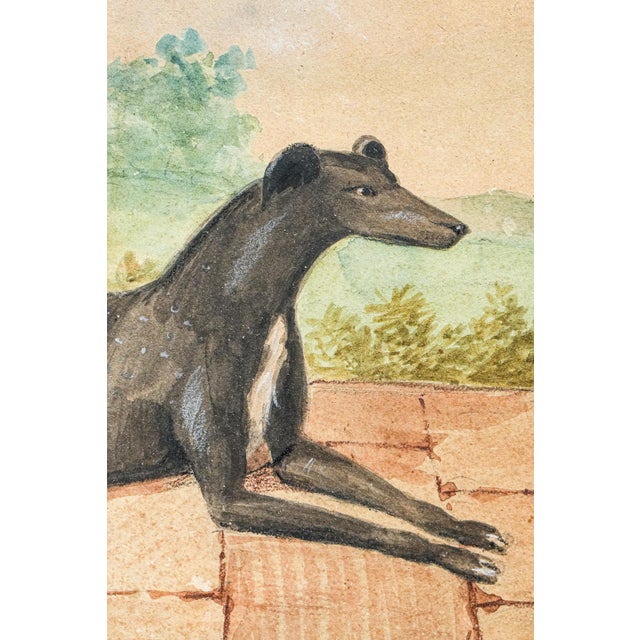 Black Amazing Antique English School Portrait Gouache Watercolor Painting of Aristocratic Man With Dog Framed Wall Decor For Sale - Image 8 of 15