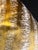 Textile Hand Dyed Gold Velvet Ikat Design Pillow With New Insert For Sale - Image 7 of 8
