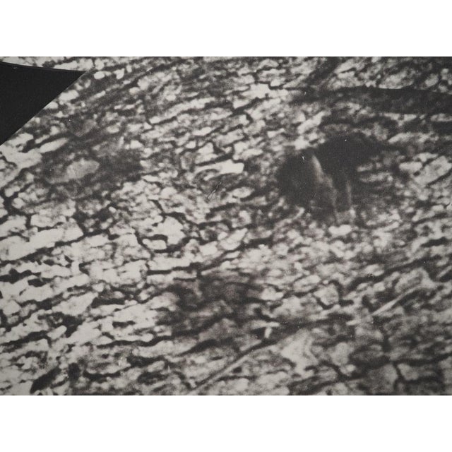 Modern Pablo Picasso, Diurnes, The Deepest Silence, Original Phototype For Sale - Image 3 of 6