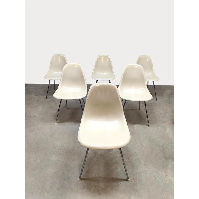 Herman Miller Vintage Fiberglass DSX Dining Chairs by Charles & Ray Eames for Herman Miller, 1960s, Set of 6 For Sale - Image 4 of 9