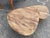Contemporary Mango Wood Coffee Tables For Sale - Image 4 of 11