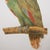 After 1590s Parrot by Anselmus Boetius De Boodt, XL Print For Sale - Image 4 of 7