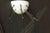 1970s 1970s Roberto Giulio Rida Five Arm Cone Sconces in Black and White With Brass Fittings - a Pair For Sale - Image 5 of 8