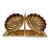 Brass Seashell Nautilus Bookends - A Pair For Sale
