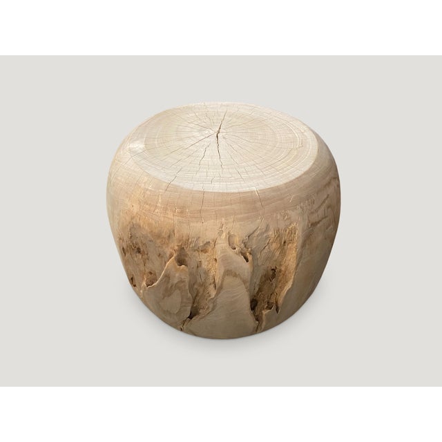Andrianna Shamaris Bleached Teak Wood Drum Side Table For Sale In New York - Image 6 of 6