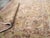 Galerie Shabab Collection Early 20th Century Indian Lahore Throw Rug For Sale In New York - Image 6 of 6