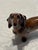 A stunning vintage mid-century modern German porcelain figurine of a smooth-haired Dachshund (Teckel), beautifully crafted...