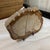 Live Edge Petrified Wood G For Sale - Image 4 of 8