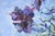 Richild Holt, Pansies, 1990, Oil Painting on Canvas, Framed For Sale - Image 9 of 12