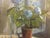 *** ABOUT THIS PAINTING *** * TITLE: "Flower on the windowsill" * ARTISTS: Seleznev Vladimir Pavlovich * SIZE: 44х33...