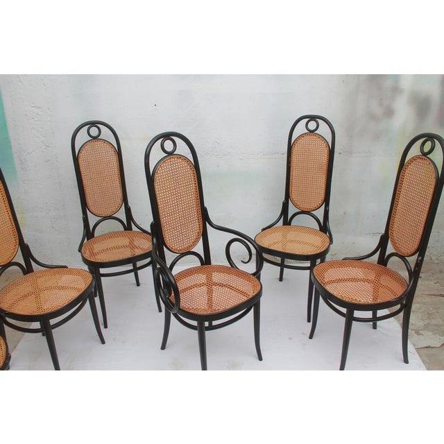Beige Model 207 R Chairs by Michael Thonet for Thonet, 2000, Set of 6 For Sale - Image 8 of 16
