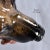 Italian Made Hand Painted and Glazed Terra Cotta Near Life Size German Shepherd For Sale - Image 12 of 13