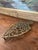 Brass Toned Cast Trivet With Ornate Victorian Design. For Sale In Seattle - Image 6 of 8