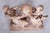Brown Mid-Century Plaster Statue from Karel Hájek, 1980s For Sale - Image 8 of 11