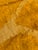 2020s Golden Ochre Moroccan Mrirt Rug For Sale - Image 5 of 10