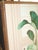 MCM Artmaster Studio (San Francisco, Ca) Acrylic on Canvas by Letterman - Potted Bromeliad For Sale - Image 10 of 13