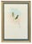 A beautifully presented two-piece framed gallery display featuring an original antique John Gould hummingbird lithograph,...