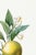 Orange by Redouté, Vintage Botanical Art Print, 30" X 40" For Sale - Image 4 of 10