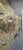 Brass and Murano Glass Sideboard from Justfurnituress SRL For Sale - Image 6 of 18
