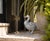 Gray Vintage Country Style Cast Iron Duck Garden Statue For Sale - Image 8 of 12