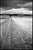 Paul Cooklin, Crop Field, Couziers, Edition of 50 For Sale - Image 7 of 7