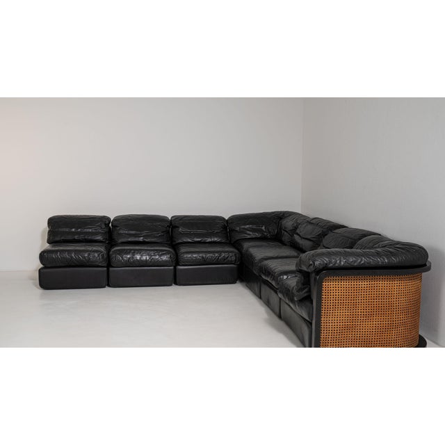 Animal Skin 19th Century France Black Leather Sofa For Sale - Image 7 of 10
