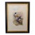 1990s Framed Print, Ecuadorian Hillstar Hummingbird (Plate 69- Hill House Edition) Reproduction Print After John Gould For Sale