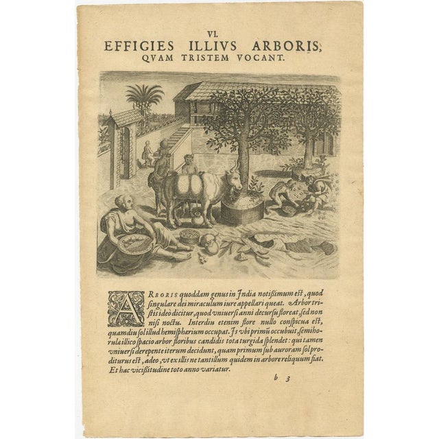 This engraving from theodore de bry's "indiae orientalis" showcases a serene yet intriguing scene titled "effigies illius...